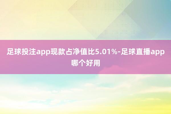 足球投注app现款占净值比5.01%-足球直播app哪个好用