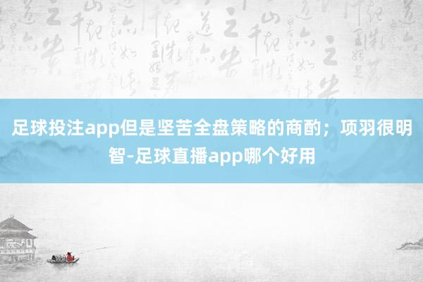 足球投注app但是坚苦全盘策略的商酌；项羽很明智-足球直播app哪个好用