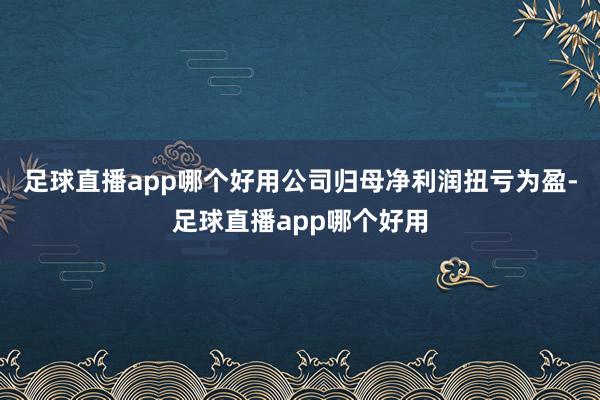 足球直播app哪个好用公司归母净利润扭亏为盈-足球直播app哪个好用