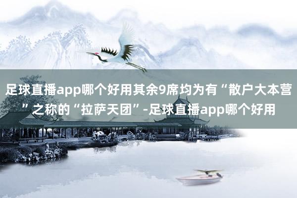 足球直播app哪个好用其余9席均为有“散户大本营”之称的“拉萨天团”-足球直播app哪个好用