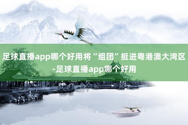 足球直播app哪个好用将“组团”挺进粤港澳大湾区-足球直播app哪个好用