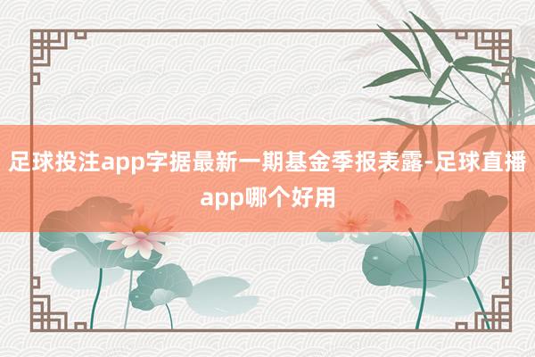 足球投注app字据最新一期基金季报表露-足球直播app哪个好用