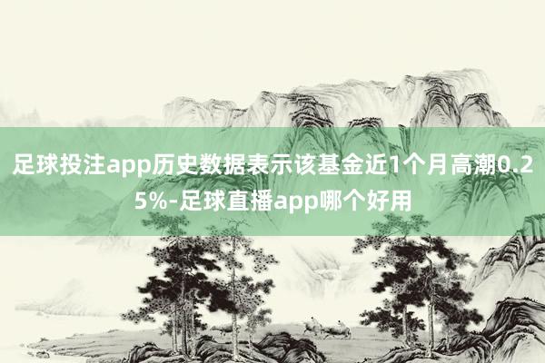 足球投注app历史数据表示该基金近1个月高潮0.25%-足球直播app哪个好用