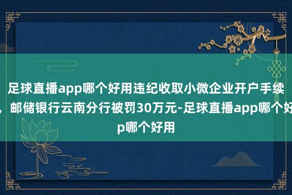 足球直播app哪个好用违纪收取小微企业开户手续费，邮储银行云南分行被罚30万元-足球直播app哪个好用