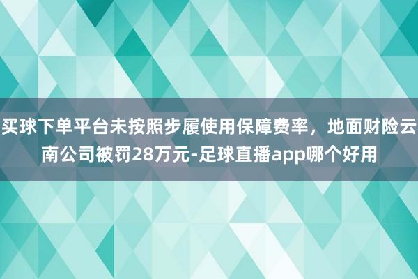 买球下单平台未按照步履使用保障费率，地面财险云南公司被罚28万元-足球直播app哪个好用