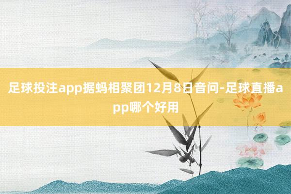 足球投注app据蚂相聚团12月8日音问-足球直播app哪个好用