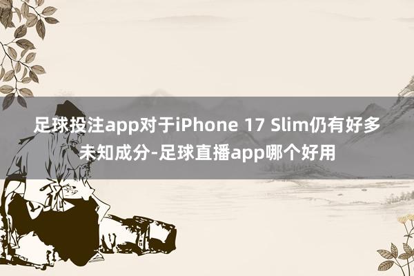 足球投注app对于iPhone 17 Slim仍有好多未知成分-足球直播app哪个好用