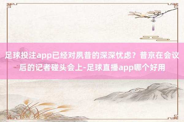 足球投注app已经对夙昔的深深忧虑？普京在会议后的记者碰头会上-足球直播app哪个好用