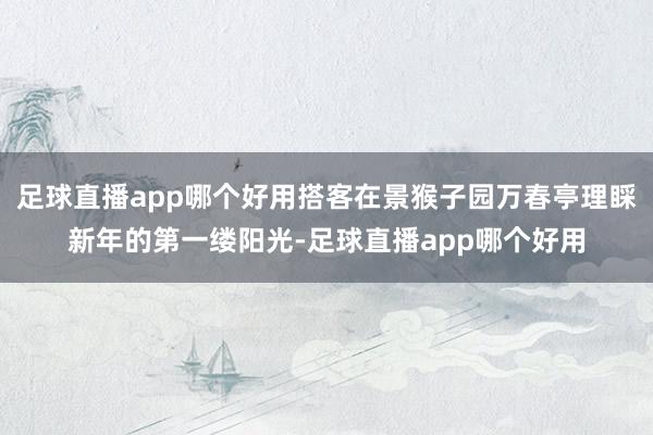 足球直播app哪个好用搭客在景猴子园万春亭理睬新年的第一缕阳光-足球直播app哪个好用