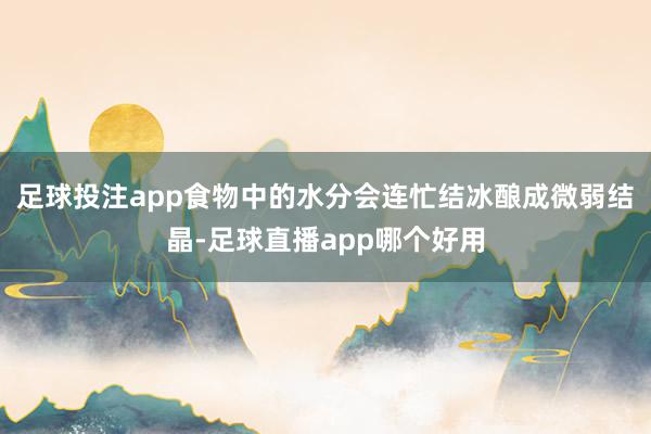 足球投注app食物中的水分会连忙结冰酿成微弱结晶-足球直播app哪个好用