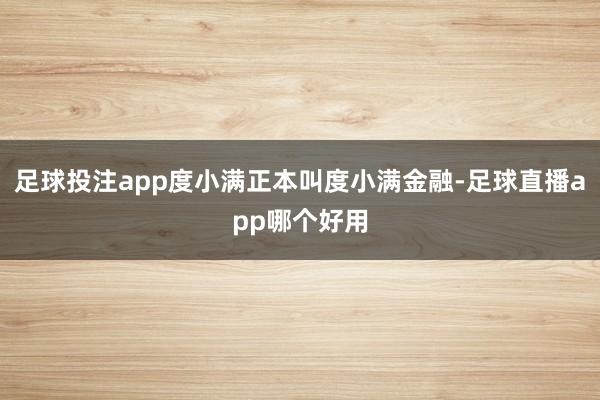 足球投注app度小满正本叫度小满金融-足球直播app哪个好用